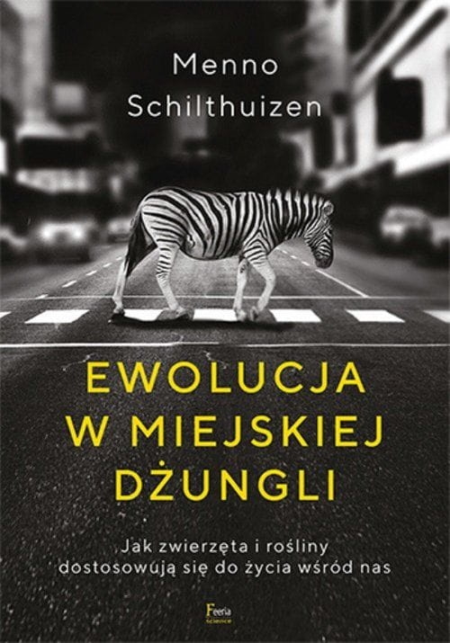 19-ewolucja-w-miejskiej-dzun.jpg