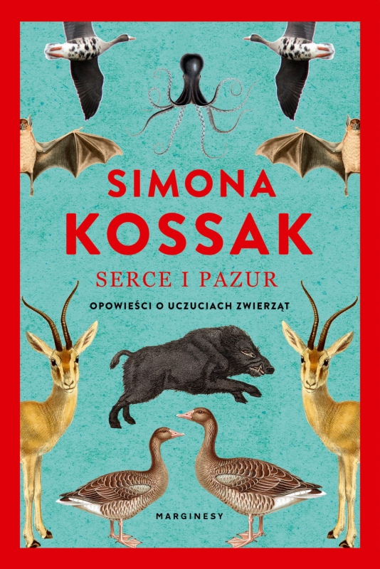 39-serce-i-pazur-opowiesci-o.jpg