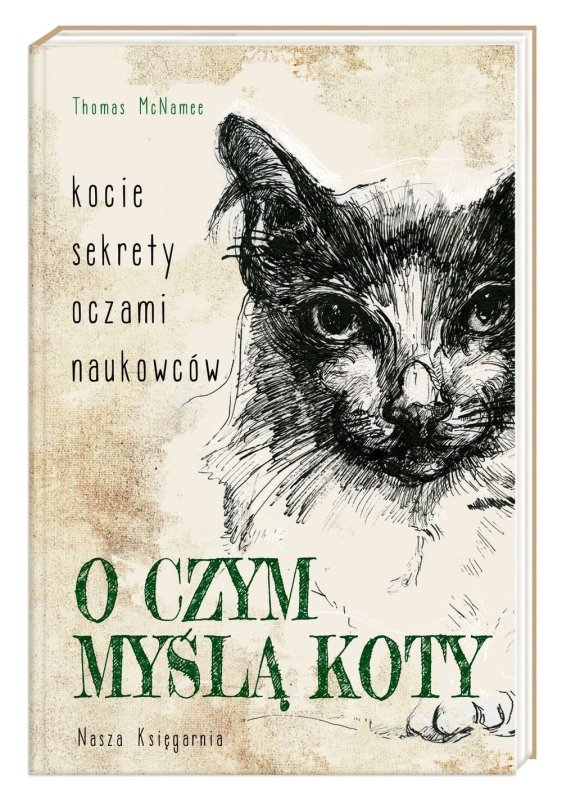 98-o-czym-mysla-koty-kocie-s.jpg