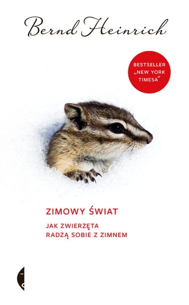 b9-zimowy-swiat-jak-zwierzet.jpg