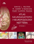 ATLAS NEUROANATOMII I NEUROFIZJOLOGII NETTERA WYDANIE 3