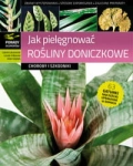 JAK PIELĘGNOWAĆ ROŚLINY DONICZKOWE ADAM WOJDYŁA 