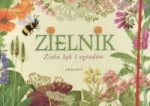 ZIELNIK ZIOŁA ŁĄK I OGRODÓW PRACA ZBIOROWA 
