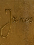JANOS PRACA ZBIOROWA 