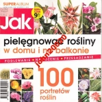 JAK PIELĘGNOWAĆ ROŚLINY W DOMU I NA BALKONIE