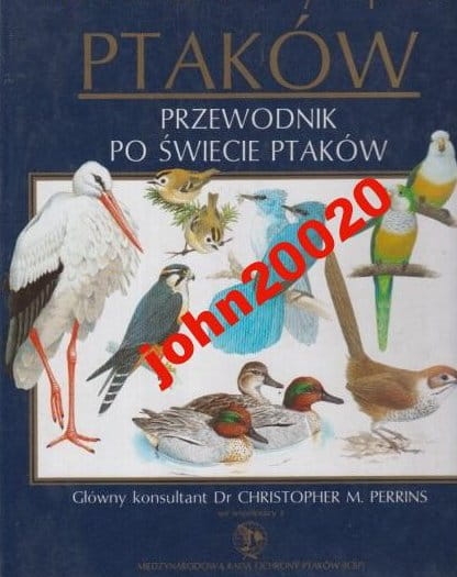 5588405082