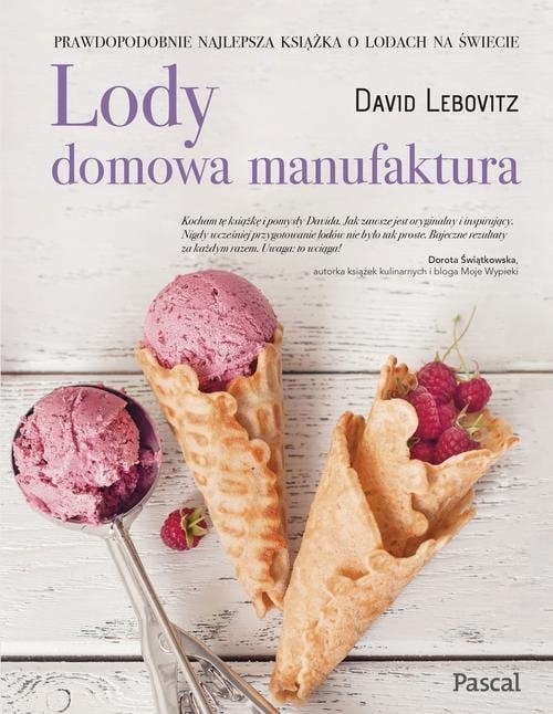 ad41-lody-domowa-manufaktura.jpg