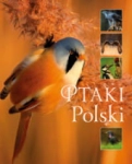 PTAKI POLSKI KAROLINA MATOGA 