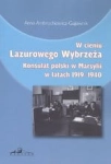 W CIENIU LAZUROWEGO WYBRZEŻA AMBROCHOWICZ 