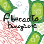 ABECADŁO BIOLOGICZNE BISZCZAK WERONIKA
