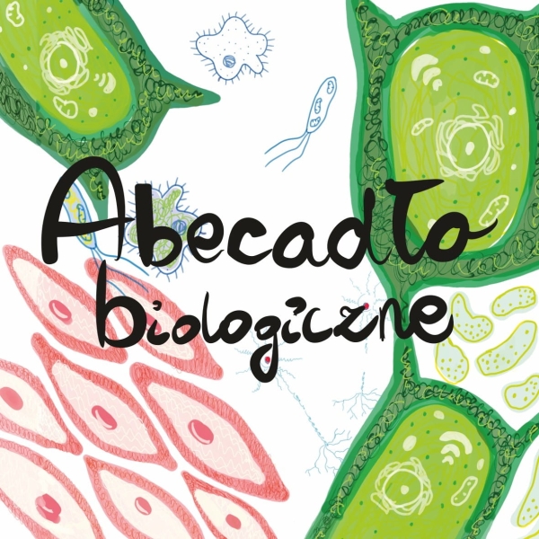 ABECADŁO BIOLOGICZNE BISZCZAK WERONIKA