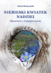 NIEBIESKI KWIATEK NADZIEI BUDZYŃSKI DOŚWIADCZENIE
