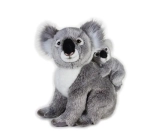KOALA Z DZIECKIEM NATIONAL GEOGRAPHIC 