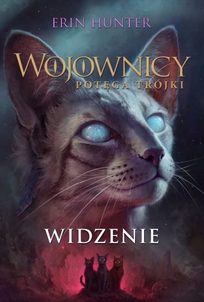 WOJOWNICY POTĘGA TRÓJKI 13 WIDZENIE