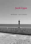 WITRAŻE / LES VITRAUX CYGAN FOTOGRAFIE Z FRANCJI