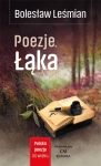 POLSKA POEZJA XX W POEZJE ŁĄKA BOLESŁAW LEŚMIAN