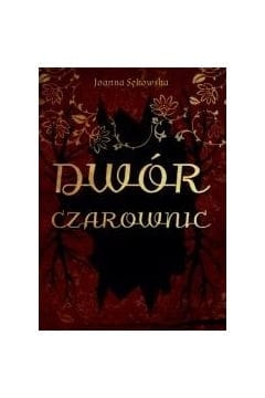 DWÓR CZAROWNIC JOANNA SĘKOWSKA WIEDŹMY CZARODZIEJE