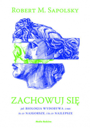12.png