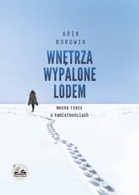 WNĘTRZA WYPALONE LODEM AREK BOROWIK 