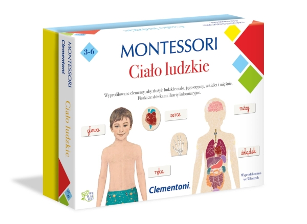 GRA EDUKACYJNA MONTESSORI CIALO LUDZKIE