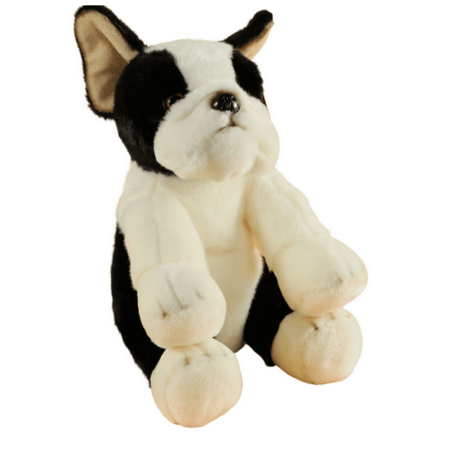 326137-piesek-boston-terrier.jpg