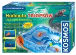 HODOWLA TRIOPSÓW  EPOKA DINOZAURÓW