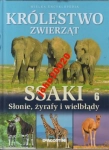 KRÓLESTWO ZWIERZĄT 6.SSAKI.SŁONIE ŻYRAFY WIELBŁĄDY