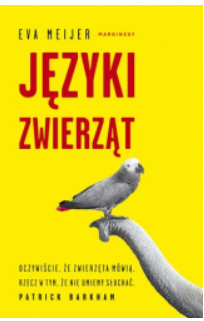 26.PNG