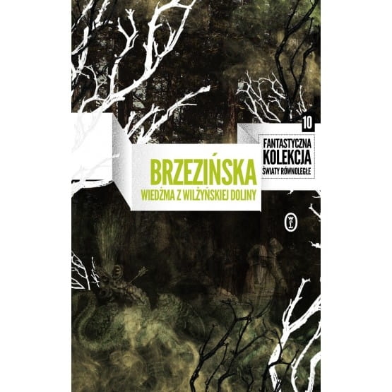 OPOWIEŚCI Z WILŻYŃSKIEJ DOLINY BRZEZIŃSKA 