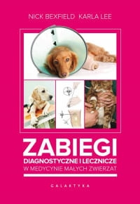 ZABIEGI DIAGNOSTYCZNE I LECZENIE W MEDYCYNIE BEXFIELD 