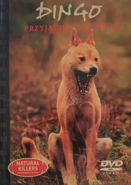 DINGO PRZYJACIEL CZY WRÓG NATURAL KILLERS DVD  