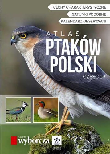 ATLAS PTAKÓW POLSKI CZ 1 FOTOGRAFOWANIE OBSERWACJA 