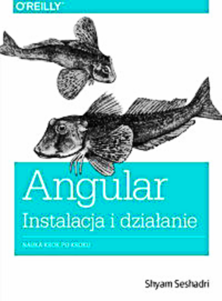 ANGULAR INSTALACJA I DZIAŁANIE S SESHADRI 315 STRON 