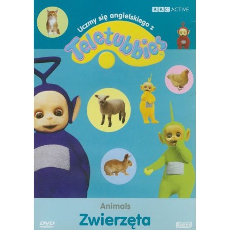 TELETUBISIE UCZMY SIĘ ANGIELSKIEGO DVD ZWIERZĘTA