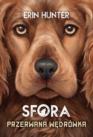 PRZERWANA WĘDRÓWKA SERIA SFORA T4 ERIN HUNTER