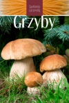 SPOTKANIA Z PRZYRODĄ GRZYBY MAREK SNOWARSKI