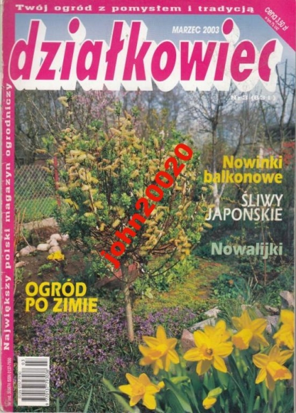 3/2003 DZIAŁKOWIEC.ŚLIWY JAPOŃSKIE NOWALIJKI