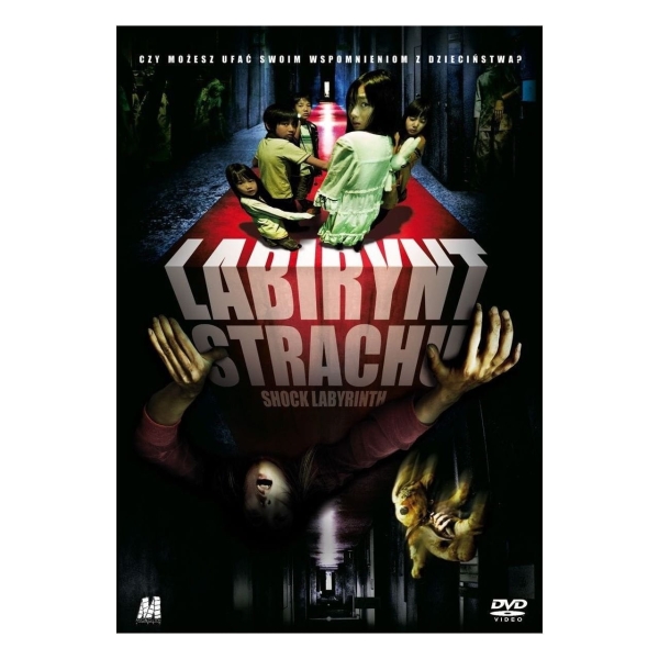 LABIRYNT STRACHU DVD