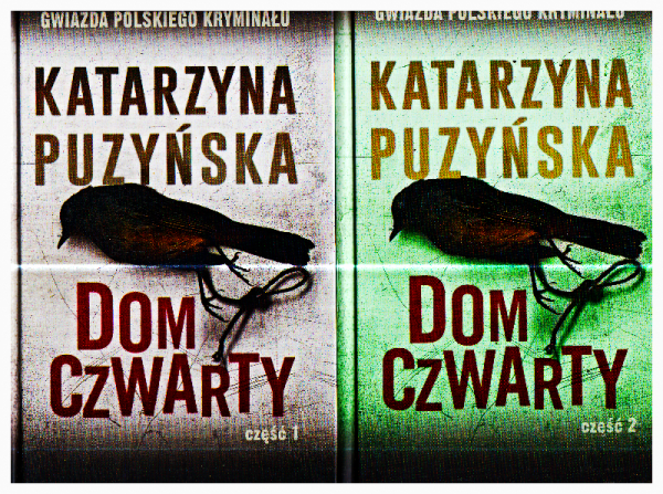 DOM CZWARTY 1-2 KATARZYNA PUZYŃSKA NOWE TWARDA CAŁOŚĆ 