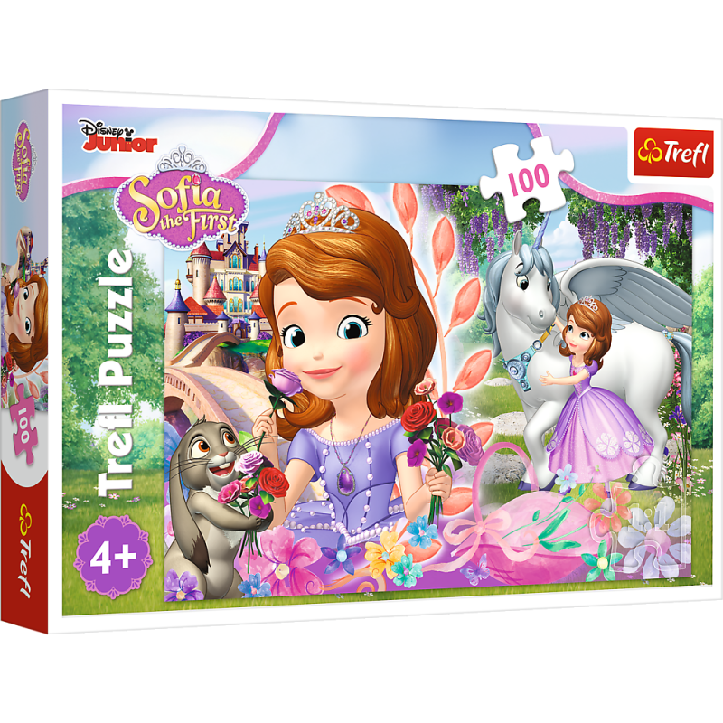 791-puzzle-100-elementow-jej.jpg