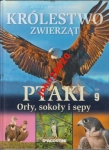 KRÓLESTWO ZWIERZĄT 9.PTAKI.ORŁY,SOKOŁY,SĘPY