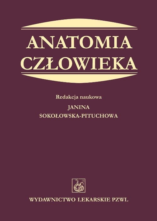 5db4762dd-anatomia-czlowieka.jpg
