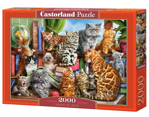 39-puzzle-2000-elementow-hou.jpg
