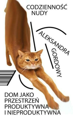 CODZIENNOŚĆ NUDY ALEKSANDRA GORDOWY 