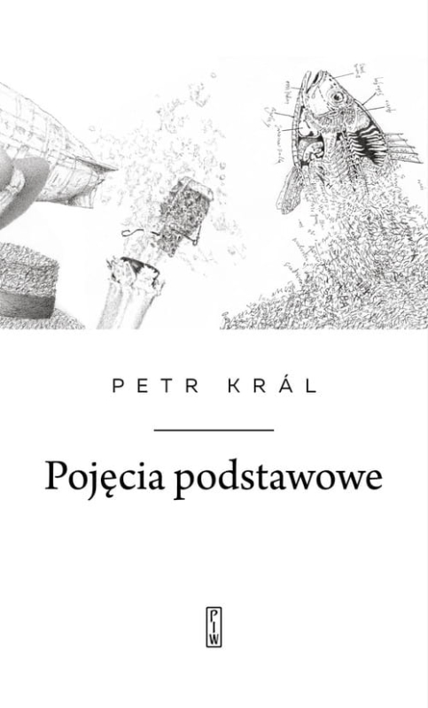 bd7bcdf4a-pojecia-podstawowe.jpg