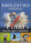 KRÓLESTWO ZWIERZĄT 4.PTAKI.KACZKI GĘSI ŁABĘDZIE