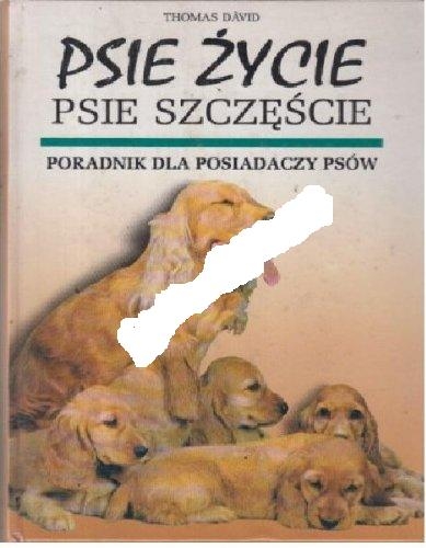 6877524826